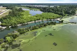 543 Tulip Poplar Dr, Moncks Corner, SC 29461 - Photo 20