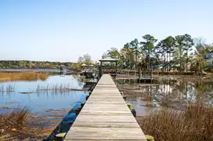 3875 Sawyers Island Dr, Mount Pleasant, SC 29466 - Photo 84