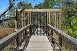 3875 Sawyers Island Dr, Mount Pleasant, SC 29466 - Photo 92