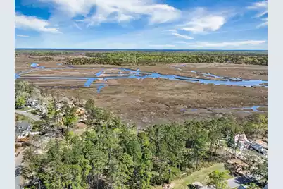 3976 Berberis Lane, Ravenel, SC 29470 - Photo 76