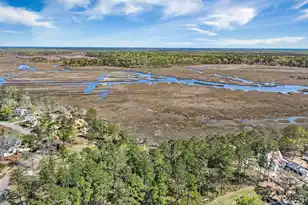 3976 Berberis Ln, Ravenel, SC 29470 - Photo 76