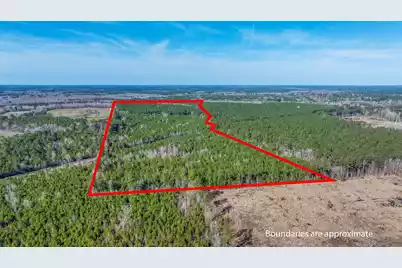 0 Lowcountry Highway, Ruffin, SC 29475 - Photo 2