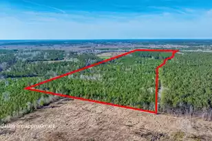 0 Lowcountry Hwy, Ruffin, SC 29475 - Photo 1