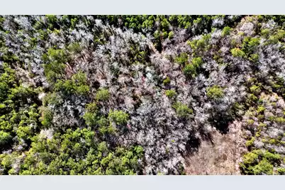 1837 Columbus Road, Georgetown, SC 29440 - Photo 8