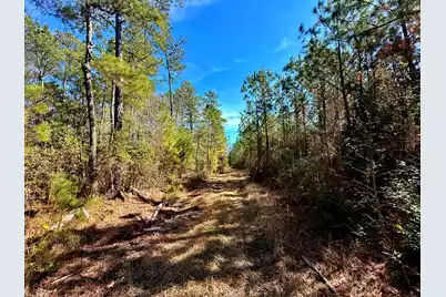 1837 Columbus Road, Georgetown, SC 29440 - Photo 30