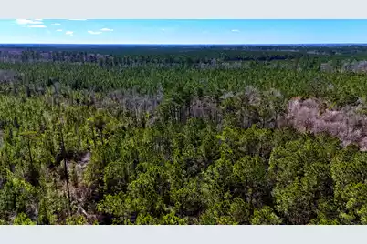 1837 Columbus Road, Georgetown, SC 29440 - Photo 12