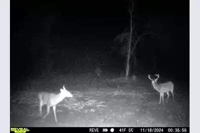 1837 Columbus Road, Georgetown, SC 29440 - Photo 34