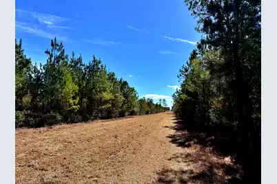 1837 Columbus Road, Georgetown, SC 29440 - Photo 2