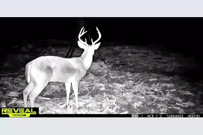 1837 Columbus Road, Georgetown, SC 29440 - Photo 38