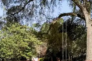 113 Tea Farm Rd, Summerville, SC 29483 - Photo 80