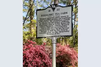 113 Tea Farm Road, Summerville, SC 29483 - Photo 90