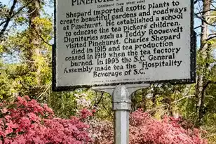 113 Tea Farm Rd, Summerville, SC 29483 - Photo 90