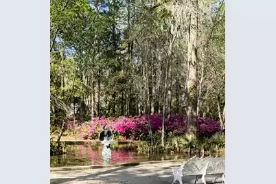 113 Tea Farm Road, Summerville, SC 29483 - Photo 96