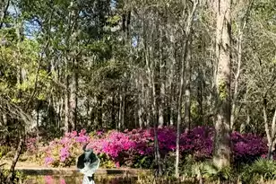 113 Tea Farm Rd, Summerville, SC 29483 - Photo 96