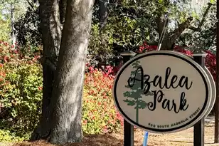 113 Tea Farm Rd, Summerville, SC 29483 - Photo 94