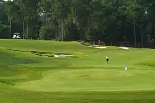 101 Tahoe Drive, Orangeburg, SC 29118 - Photo 36