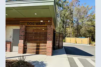 230 Congaree River Drive, Summerville, SC 29485 - Photo 46