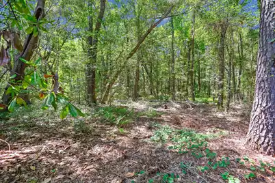 2458 Audette Avenue, Johns Island, SC 29455 - Photo 86