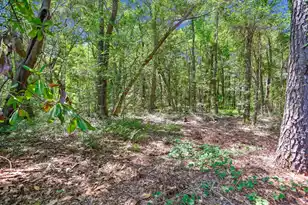 2458 Audette Ave, Johns Island, SC 29455 - Photo 86