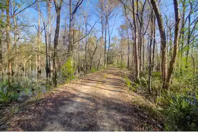 1384 Sandy Landing Lane, Round O, SC 29474 - Photo 36