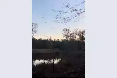 1384 Sandy Landing Lane, Round O, SC 29474 - Photo 40