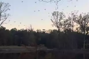 1384 Sandy Landing Ln, Round O, SC 29474 - Photo 40