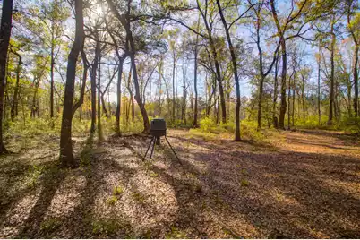 1384 Sandy Landing Lane, Round O, SC 29474 - Photo 32