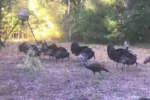 1384 Sandy Landing Ln, Round O, SC 29474 - Photo 42