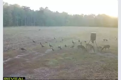 1384 Sandy Landing Lane, Round O, SC 29474 - Photo 38