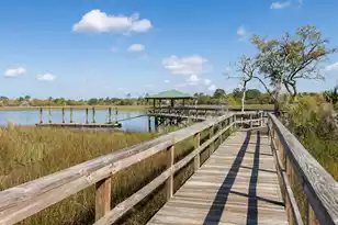 142 Wappoo Creek Dr, Charleston, SC 29412 - Photo 44