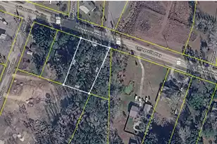 Tbd Cottageville Hwy, Cottageville, SC 29435 - Photo 1