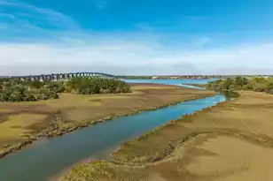 241 Etiwan Pointe Dr #117-1, Mount Pleasant, SC 29464 - Photo 50