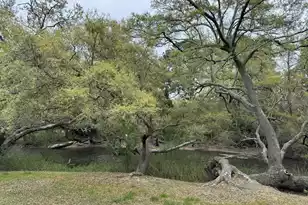 1529 Hunley Ave, Charleston, SC 29412 - Photo 4