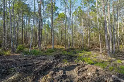 808 Society Road, McClellanville, SC 29458 - Photo 8