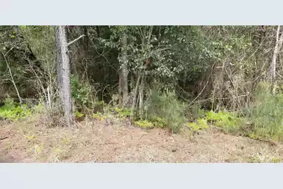 0 Randolph Drive, Smoaks, SC 29481 - Photo 2