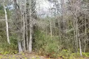 0 Randolph Dr, Smoaks, SC 29481 - Photo 1