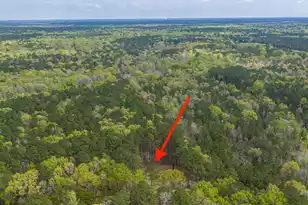 0 Busters Paradise Ln, Cordesville, SC 29434 - Photo 1