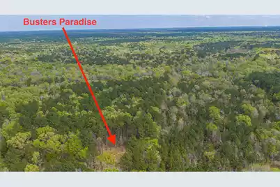 0 Busters Paradise Lane, Cordesville, SC 29434 - Photo 10