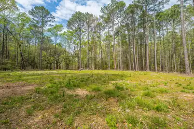 0 Busters Paradise Lane, Cordesville, SC 29434 - Photo 4