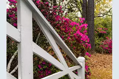 108 Rutherford Street, Summerville, SC 29483 - Photo 76