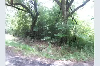 8046 Cedar Hall Road, Edisto Island, SC 29438 - Photo 2