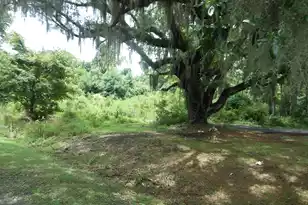 8046 Cedar Hall Rd, Edisto Island, SC 29438 - Photo 1