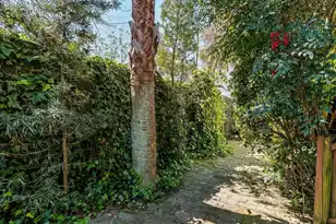 3 1/2 Kracke Street #Apt C, Charleston, SC 29403 - Photo 6