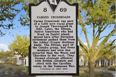 193 Helena Park Drive, Summerville, SC 29486 - Photo 64