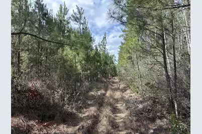 11 Red Oak Road, Cottageville, SC 29435 - Photo 6