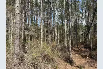 11 Red Oak Road, Cottageville, SC 29435 - Photo 2