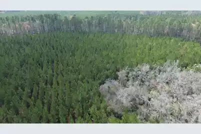 11 Red Oak Road, Cottageville, SC 29435 - Photo 10