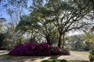 204 Gervais St, Walterboro, SC 29488 - Photo 52