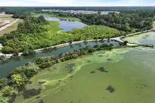 539 Tulip Poplar Dr, Moncks Corner, SC 29461 - Photo 16