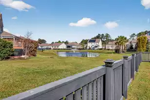 377 Turnstone St, Mount Pleasant, SC 29464 - Photo 40